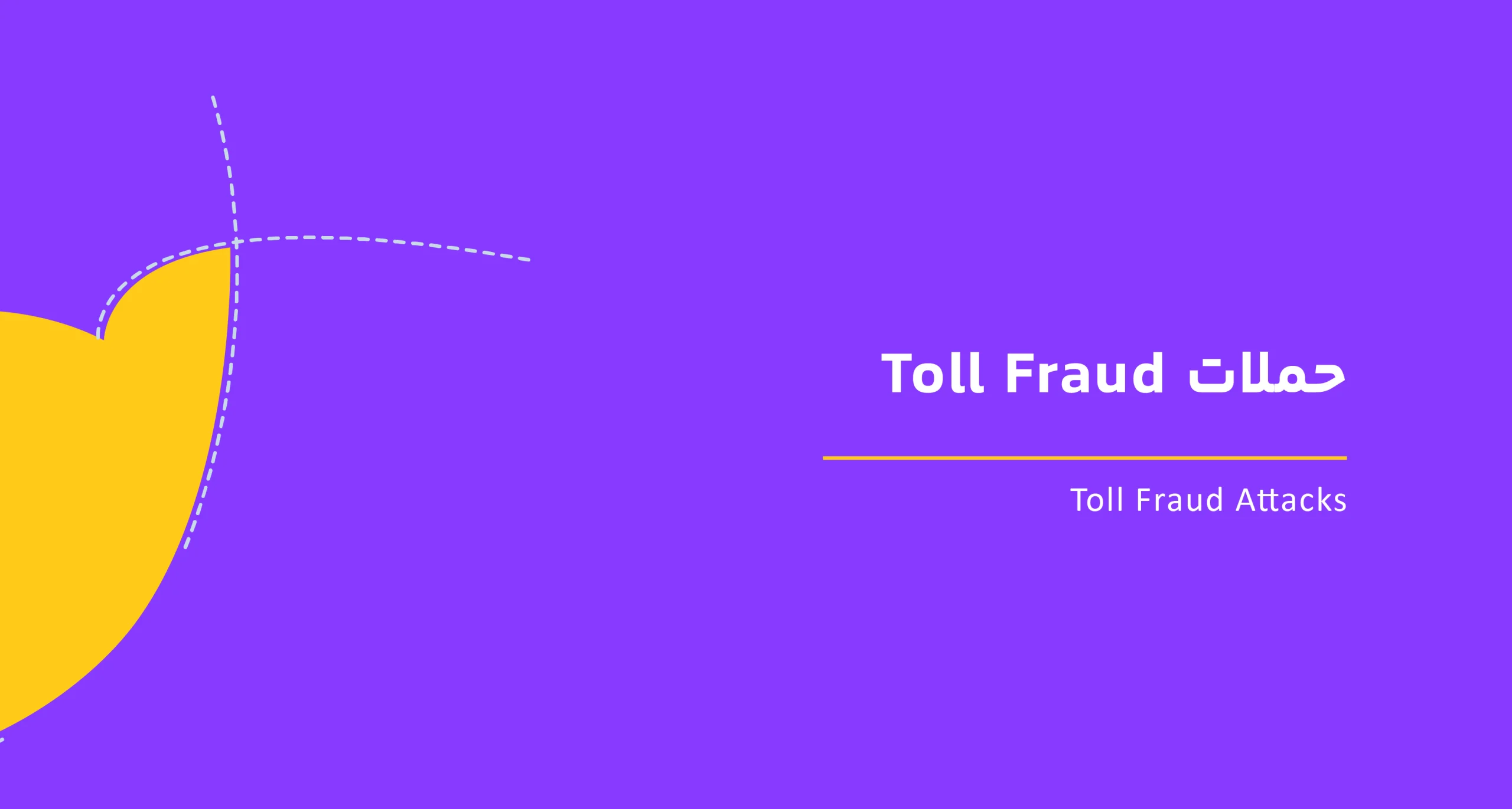 Toll Fraud Attacks